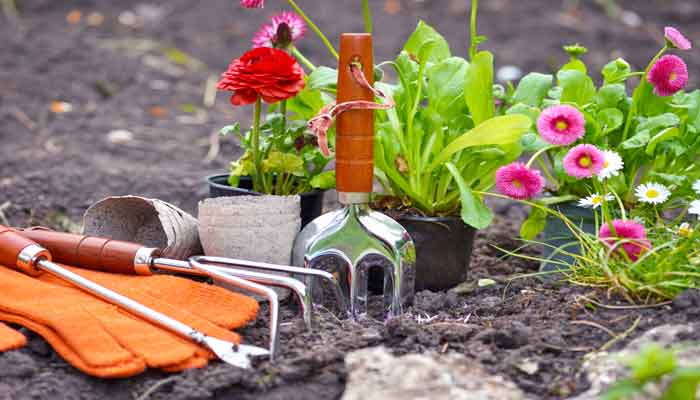 Creëer je eigen droomtuin met deze tips!