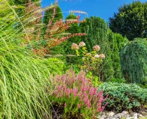 Deze 4 eenvoudige tips zullen je helpen om je tuin op te bouwen